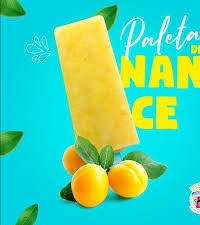 image (12) PALETA DE NANCE