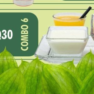 MENU NATURALFIT COMBO 6